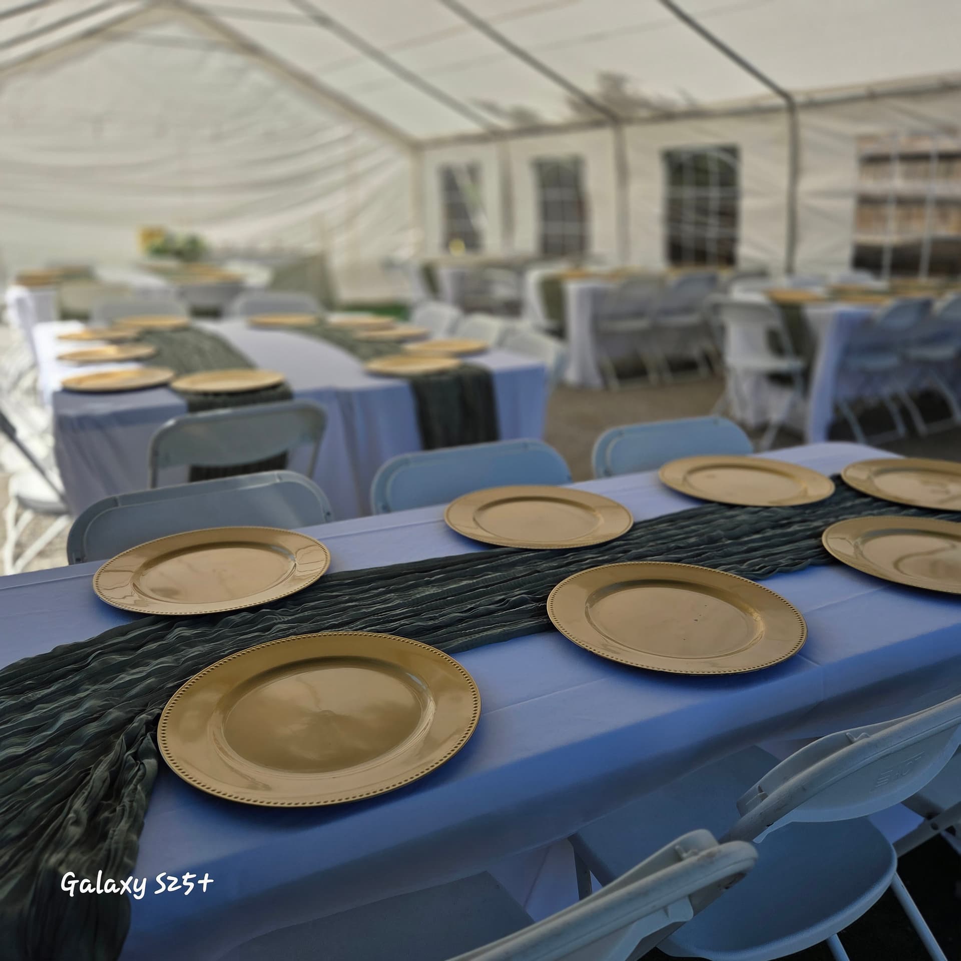 Cargador de Plato Dorado — photo 1